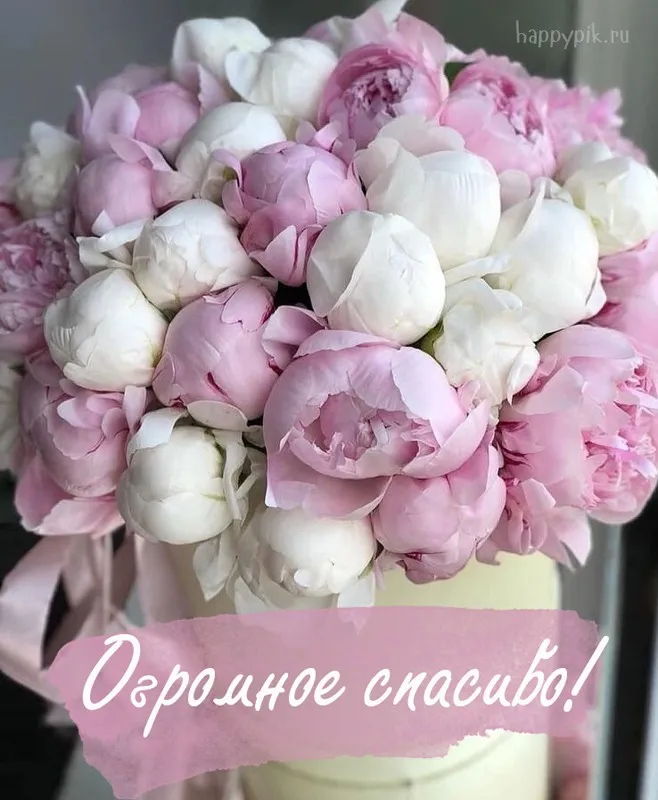 Открытка Спасибо - Букет пышных роз: нежность и красота | Красивая открытка #16