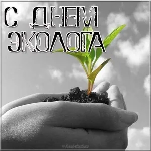 Открытка День эколога - Рассада в руках: чёрно-белая открытка | Красивая открытка #50
