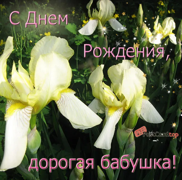 Открытка С ирисами - Ирисы: нежные цветы на открытке  Посткард | Красивая открытка #26