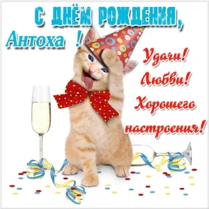 Открытка открытки с именем Антон  - Котенок в колпаке с бокалом шампанского | Красивая открытка #60