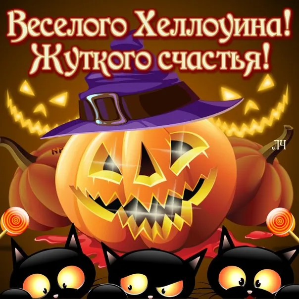 Открытка Хэллоуин - Тыквенный Хэллоуин: Открытка с ведьмой и котами | Красивая открытка #97