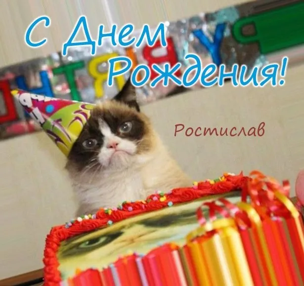 Открытка Открытки с именем Ростислав  - С Днём Рождения! Кот и торт | Красивая открытка #195