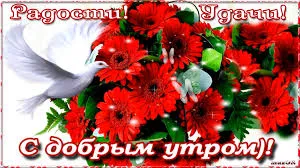 Открытка Удачи - Открытка: Белый голубь и красные цветы | Красивая открытка #80