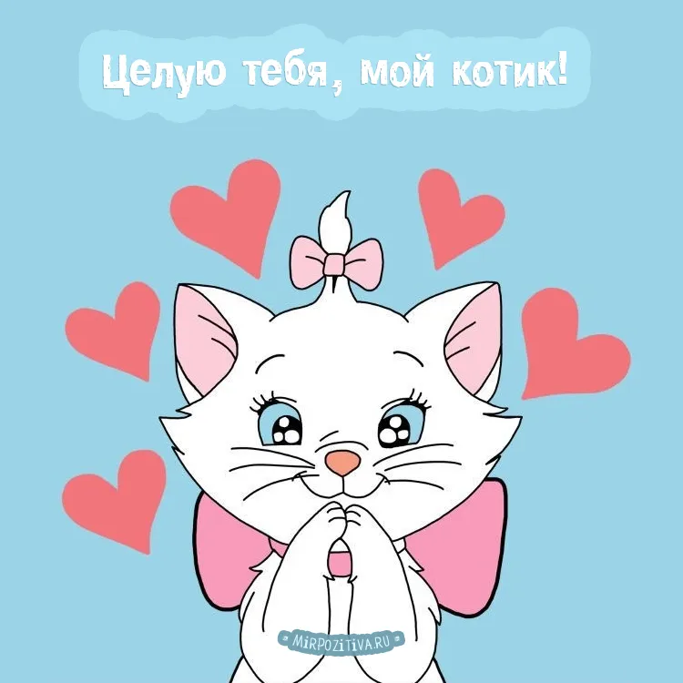 Открытка С поцелуями - Белый котенок с бантом и сердечками. Открытка | Красивая открытка #39