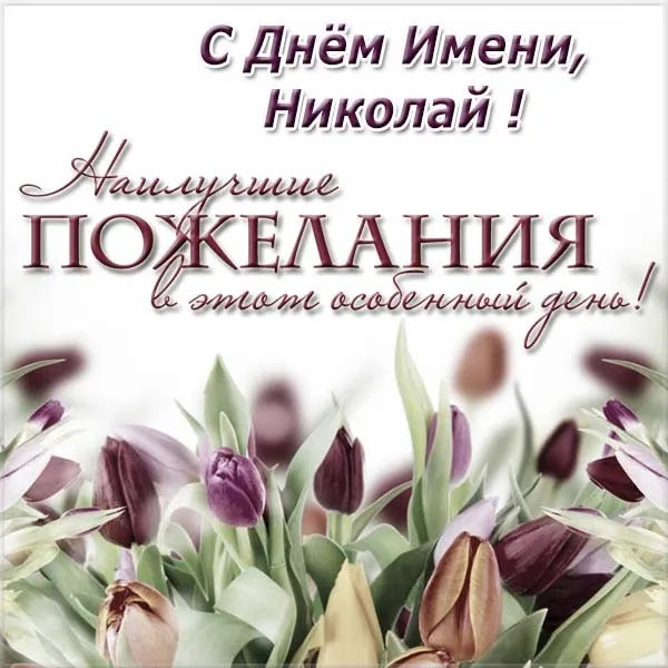 Открытка Открытки с именем Николай   - Открытка с Днем Имени! | Красивая открытка #167