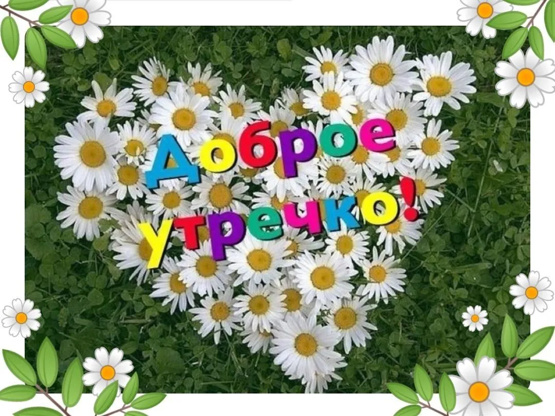 Открытка доброе летнее утро - Открытка с цветами: поле ромашек в форме сердца | Красивая открытка #1