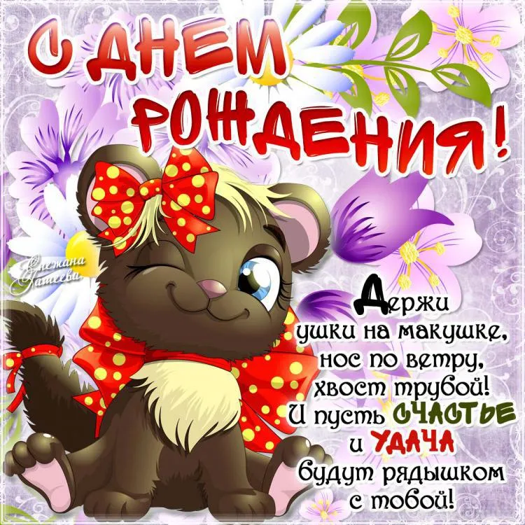 Открытка с днём рождения прикольные - С днем рождения! Ушастик, носи на ветру! | Красивая открытка #35