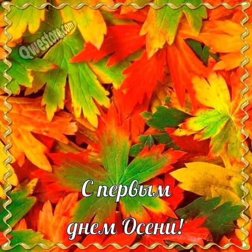 Открытка Первый день осени - Открытка с осенними листьями  С днем Осени! | Красивая открытка #6