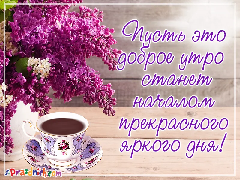 Открытка С сиренью - Открытка с фиалками и чаем | Красивая открытка #3