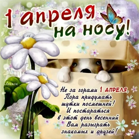 Открытка День смеха - Открытка с 1 апреля: Зайчик и цветы | Красивая открытка #113