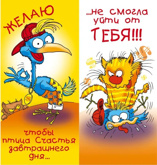 Открытка Прикольные пожелания - Забавная открытка: птица и кот — смешной рисунок | Красивая открытка #27
