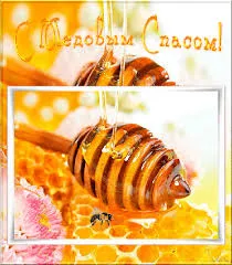 Открытка Медовый спас - Медовые открытки: пчела, соты, ложка | Красивая открытка #215