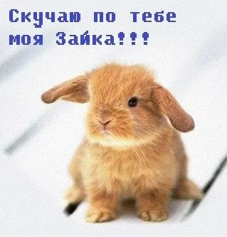 Открытка Скучаю - Милый кролик на открытке: фото, картинка | Красивая открытка #132