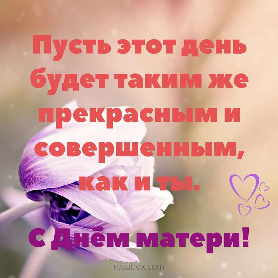 Открытка С Днем Матери! - Открытка с розой: День рождения, С днем! | Красивая открытка #20