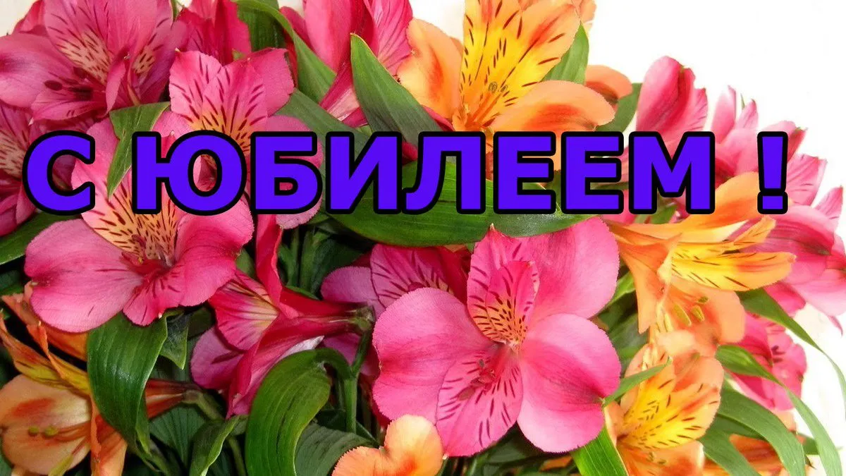 Открытка С юбилеем - Астры: яркая открытка с цветами | Красивая открытка #56