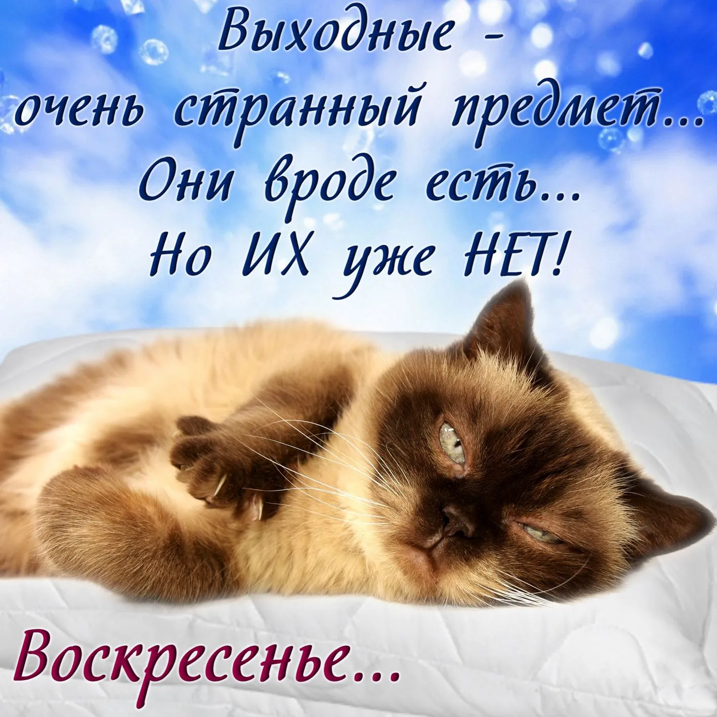 Открытка Открытки на воскресенье - Спящий кот на фоне голубого неба | Красивая открытка #10
