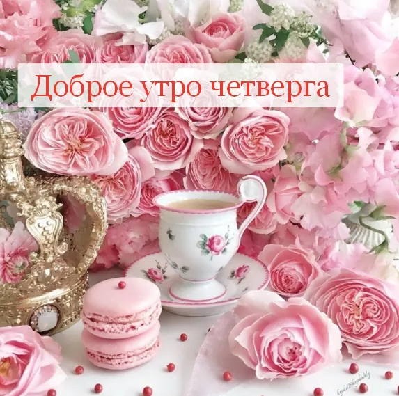 Открытка Доброе утро четверг - Чай, макаруны, розы: нежные поздравления с утра | Красивая открытка #17