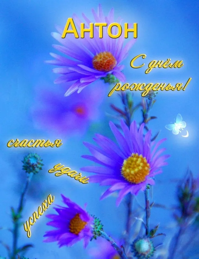 Открытка открытки с именем Антон  - Открытка: Фиолетовые цветы на фоне голубого неба | Красивая открытка #156