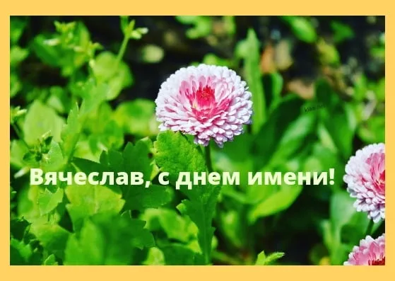 Открытка открытки с именем Вячеслав - Открытка с цветами: день имени! | Красивая открытка #61