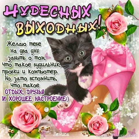 Открытка Выходные - Открытка с котиком и цветами - День рождения | Красивая открытка #89