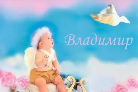 Открытка открытки с именем Владимир - Открытка с ангелом: милый малыш и птица | Красивая открытка #66
