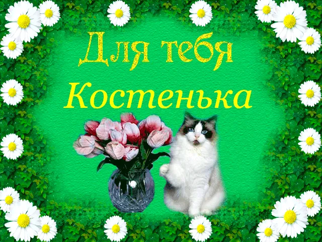 Открытка Открытки с именем Константин  - Открытка с котиком и цветами | Красивая открытка #32