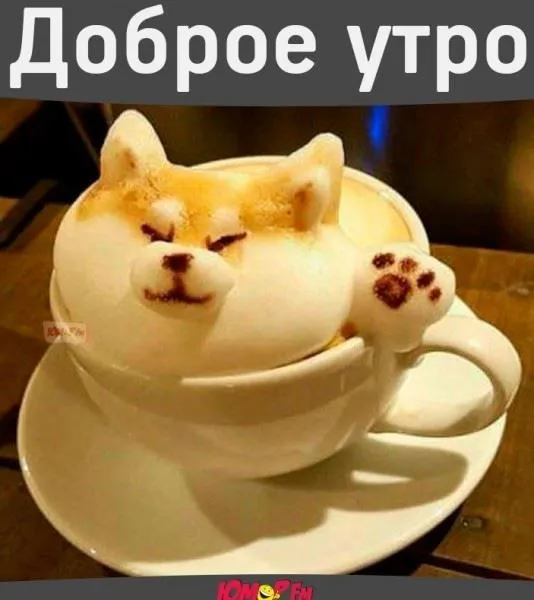 Открытка Доброе утро - Кофе-котик: милая открытка с латте-артом | Красивая открытка #352