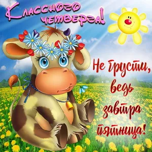 Открытка Открытки на четверг - Открытка с милой коровкой на лугу | Красивая открытка #56