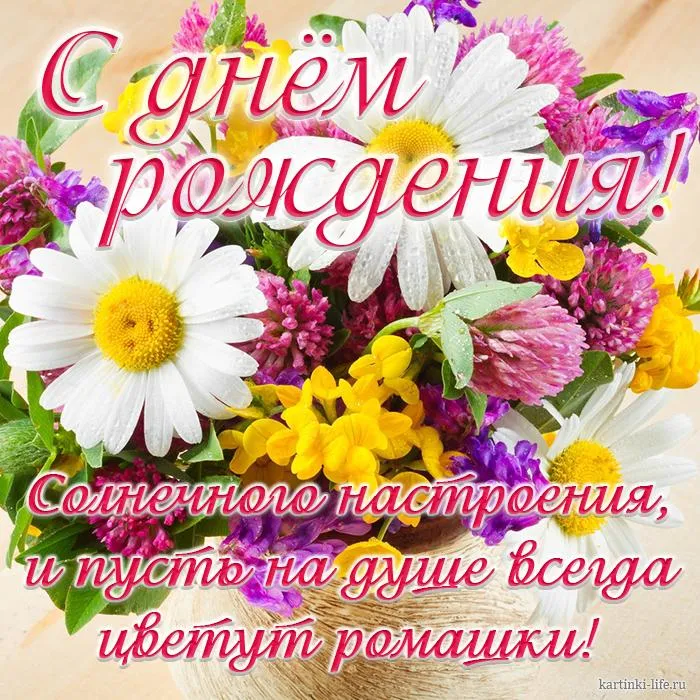 Открытка С ромашками - Открытка с цветами: ромашки, фиалки и подсолнухи | Красивая открытка #9