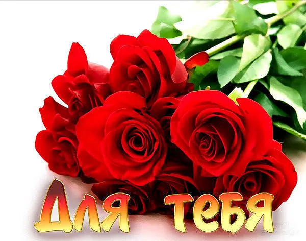 Открытка Для тебя - Букет красных роз: открытка с цветами | Красивая открытка #68