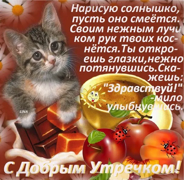 Открытка Доброе утро - Утро с котиком и фруктами: яркая открытка! | Красивая открытка #361