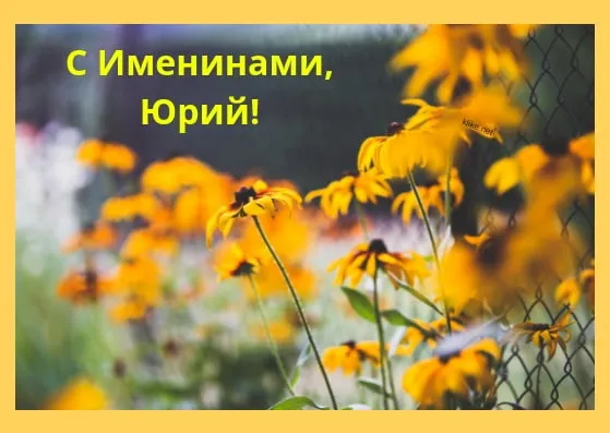 Открытка Открытки с именем Юрий - Полевые цветы: открытка с цветами для вас | Красивая открытка #150