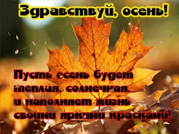 Открытка Открытки с первым днем осени - Осенние листья: яркие краски осени. | Красивая открытка #48