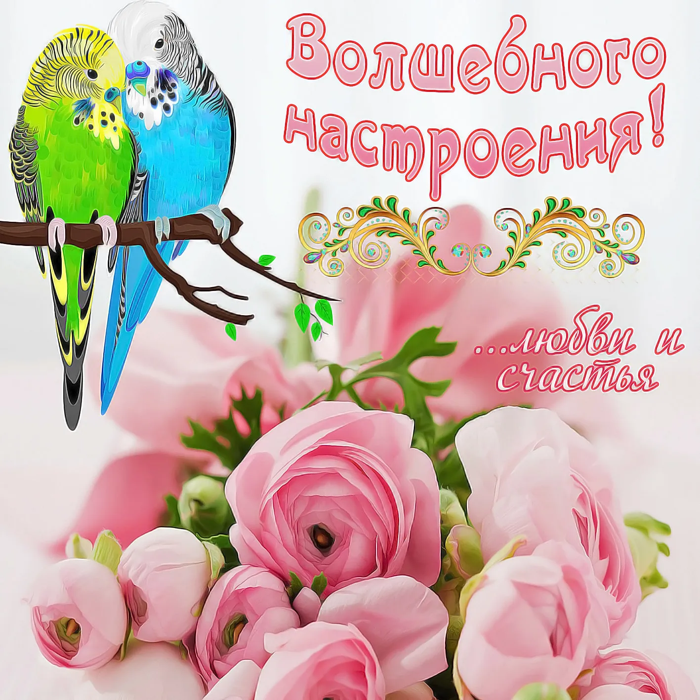 Открытка хорошего настроения - Розовые цветы и попугай: Красивая открытка | Красивая открытка #68