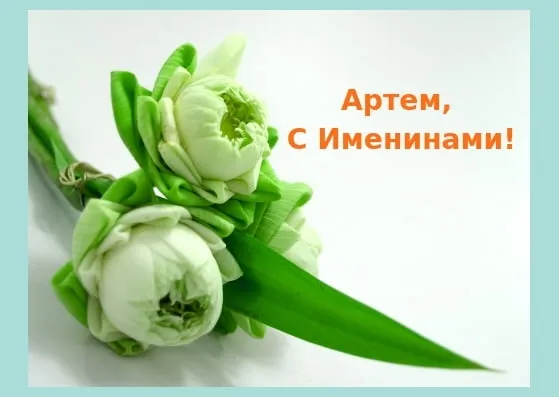 Открытка открытки с именем Артем - Белые бутоны с зелеными листьями | Красивая открытка #236