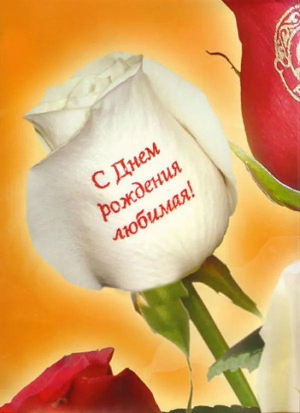 Открытка С днем рождения для жены - Открытка: Красные и белые розы, надпись «С Днём рождения» | Красивая открытка #30