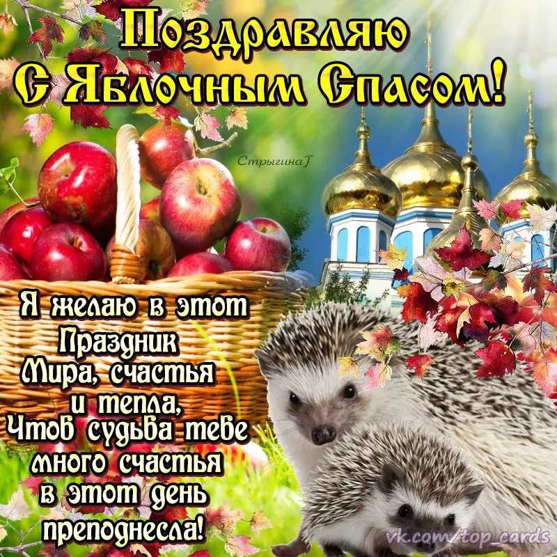 Открытка Яблочный спас - Яблоки, осень, праздник, счастье, еж - поздравления! | Красивая открытка #187