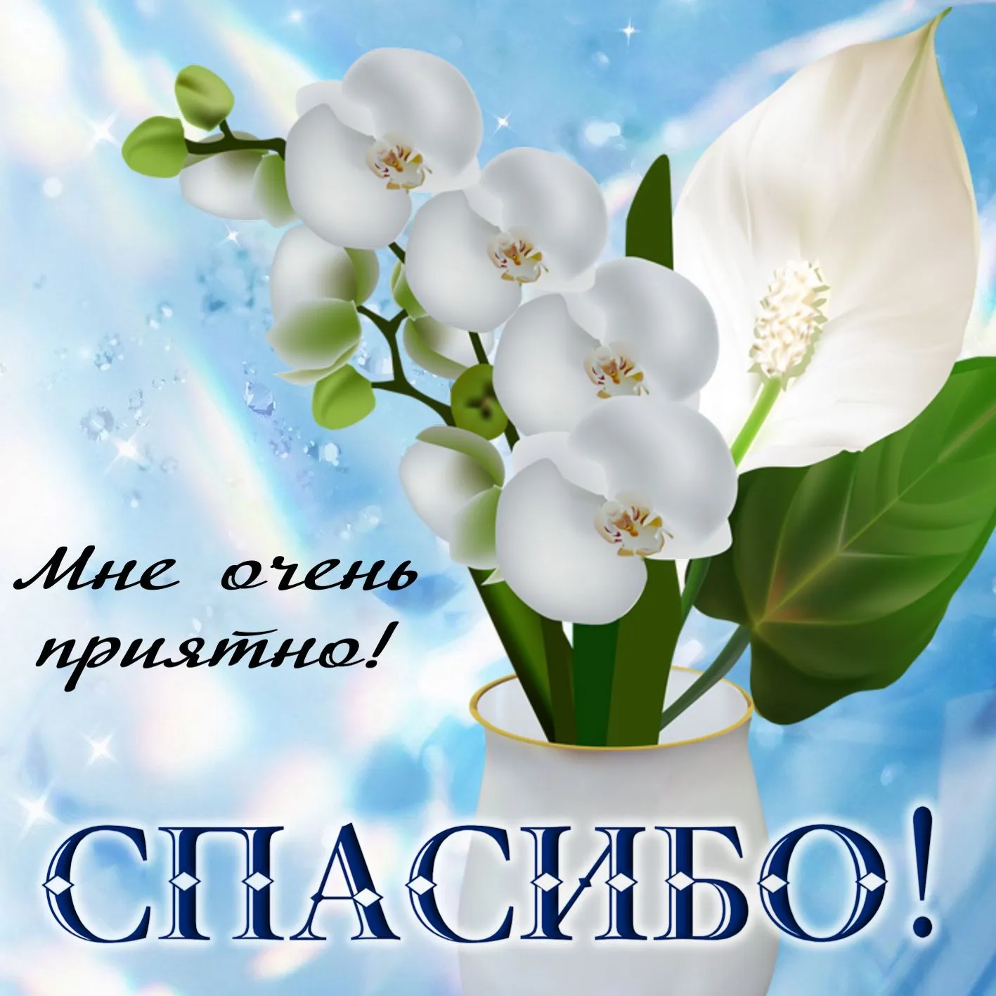 Открытка Спасибо - Орхидеи: нежные цветы для поздравлений | Красивая открытка #124