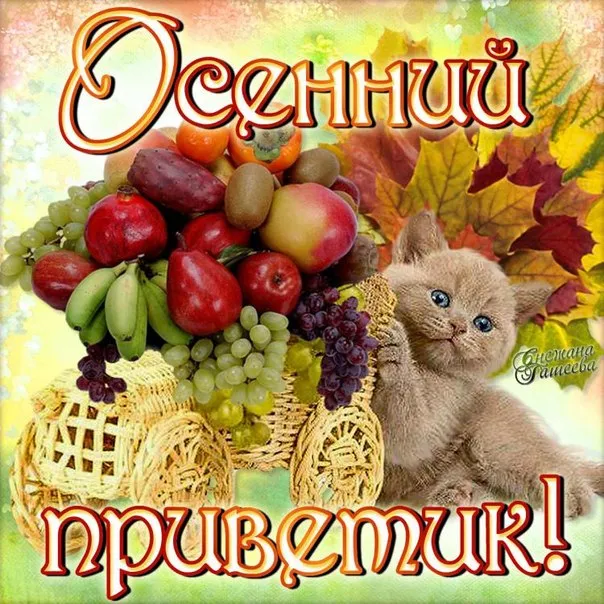 Открытка осенний привет - Открытка с котенком, фруктами и осенними листьями | Красивая открытка #11