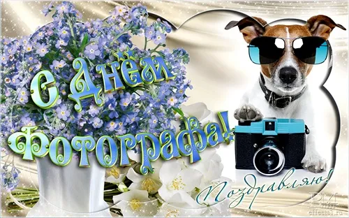 Открытка День фотографа - Открытка с собакой и цветами: день рождения, фото | Красивая открытка #26