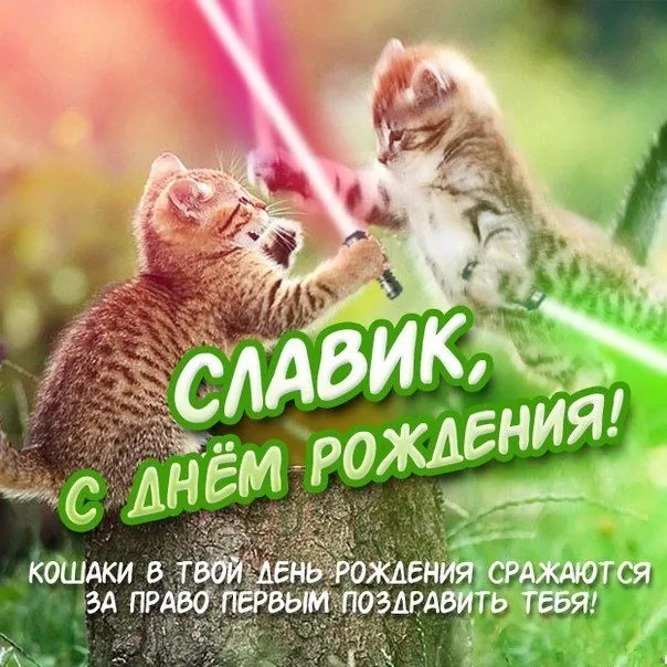 Открытка открытки с именем Вячеслав - С Днём Рождения! Два котика обнимаются | Красивая открытка #208