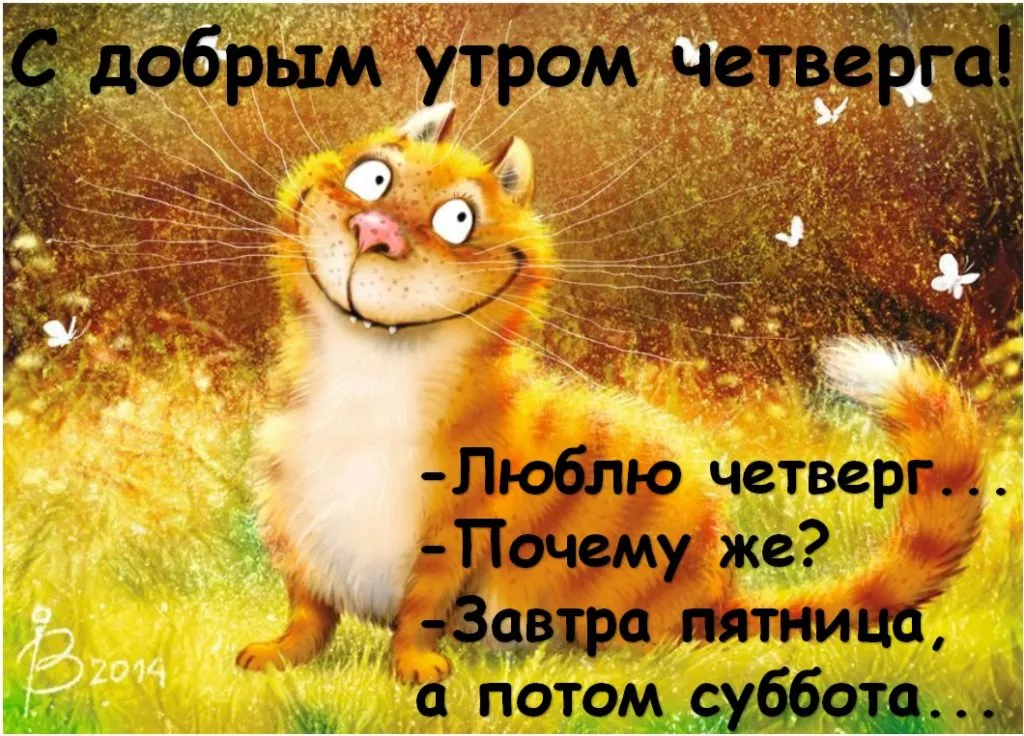 Открытка Доброе утро четверг - Забавная открытка с рыжим котиком | Красивая открытка #3