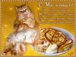 Открытка Открытки с Масленицей - Открытка с котом и блинами на Масленицу | Красивая открытка #90
