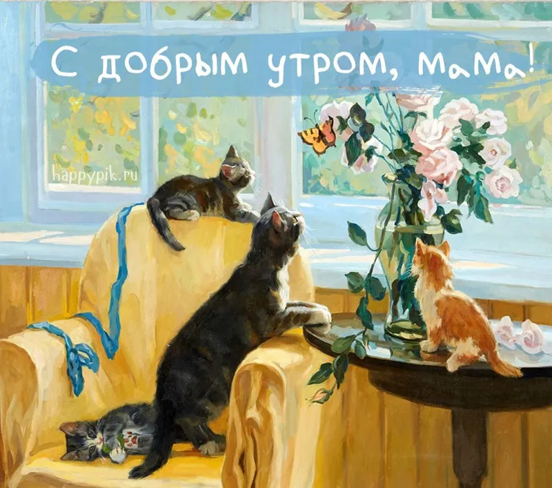 Открытка Доброе утро - Два кота у окна с цветами: открытка с кошками | Красивая открытка #386
