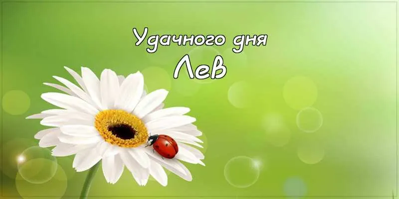 Открытка Открытки с именем Лев  - Открытка с ромашкой и божьей коровкой | Красивая открытка #138