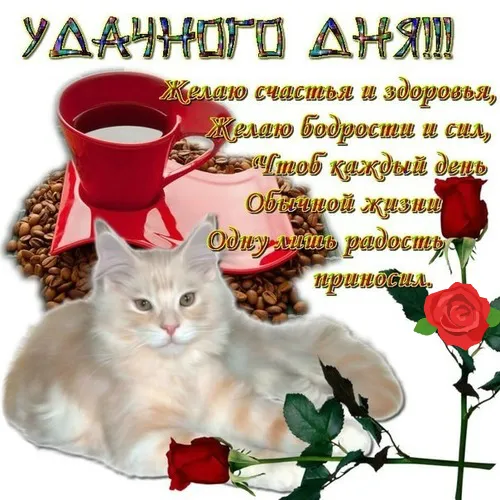 Открытка Удачного дня - Открытка с котиком и кофе: Красивое поздравление | Красивая открытка #40