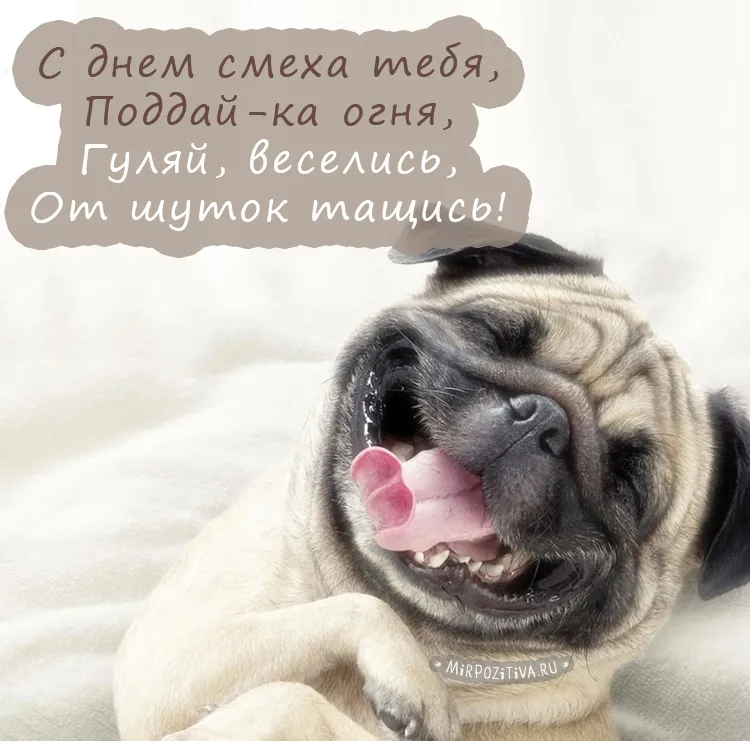 Открытка День смеха - Открытка с щенком: весёлый пёс, море позитива | Красивая открытка #116