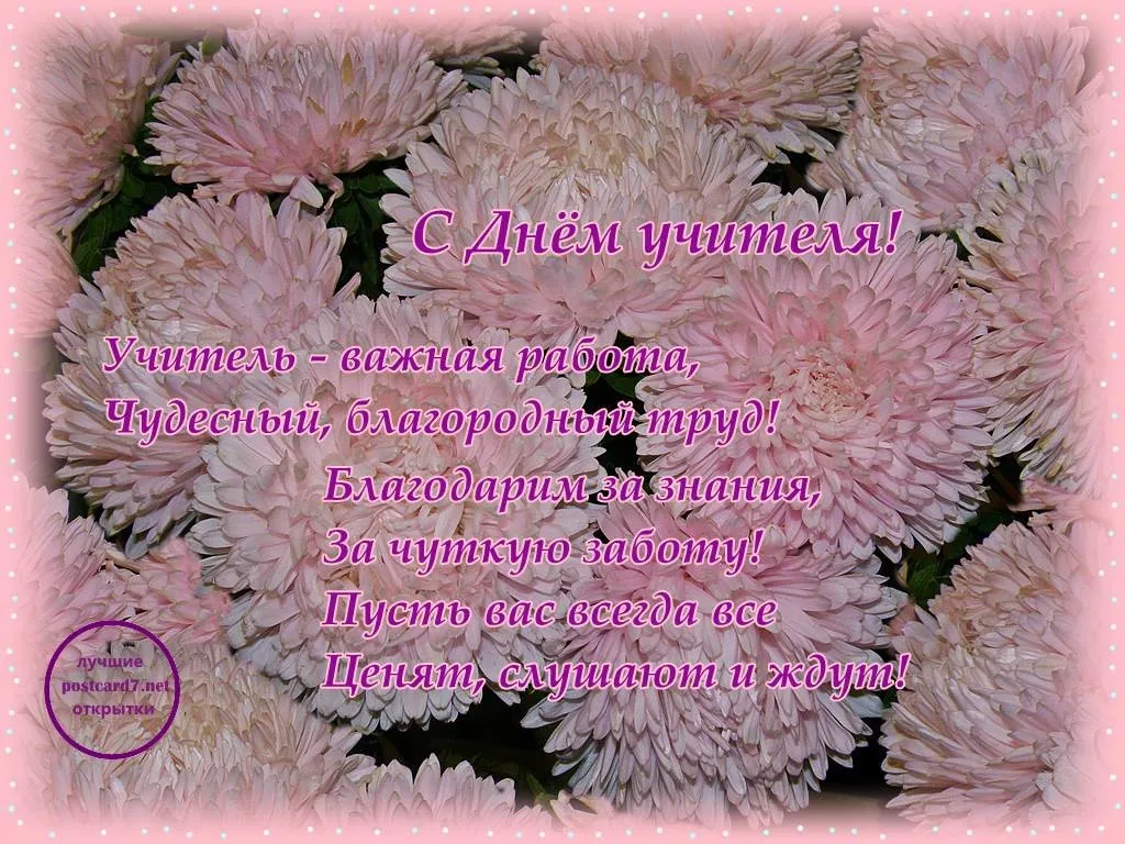 Открытка С астрами - Открытка «С Днём учителя»: нежные цветы и надписи | Красивая открытка #14