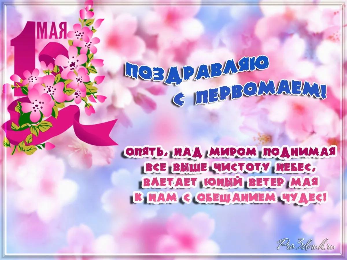 Открытка 1 мая - Поздравительная открытка: цветы и надпись | Красивая открытка #244