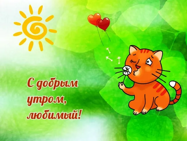 Открытка Открытки с добрым утром любимый - С днем рождения! Симпатичный котик с подарками | Красивая открытка #7